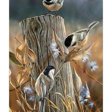 Схема вышивки «Синицы.»