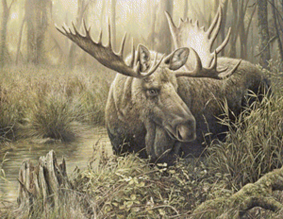 лось - лось - предпросмотр