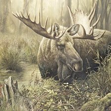 Схема вышивки «лось»