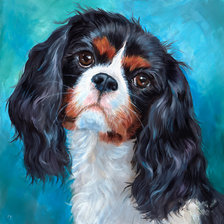 Схема вышивки «Cavalier King Charles Spaniel.»