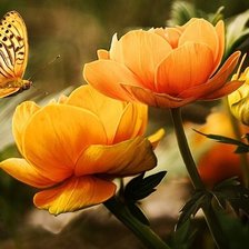 Схема вышивки «№1961478»