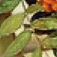 Предпросмотр схемы вышивки «Натюрморт с птичками.» (№1961644)