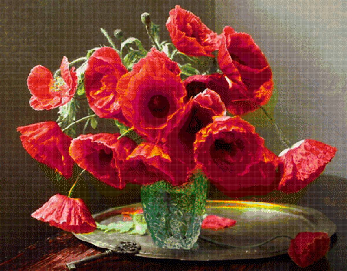 МАКИ - предпросмотр