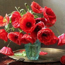 Схема вышивки «МАКИ»