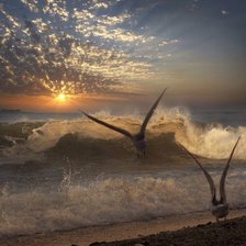 Схема вышивки «морской сюжет»