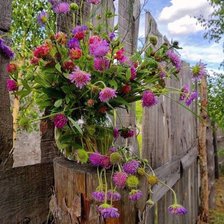 Схема вышивки «цветы»