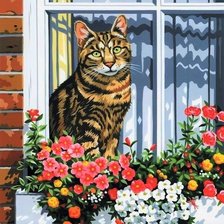 Схема вышивки «Кошка на окошке»