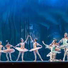 Схема вышивки «лебединое озеро»