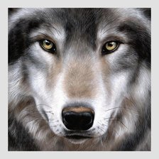 Схема вышивки «№1962457»