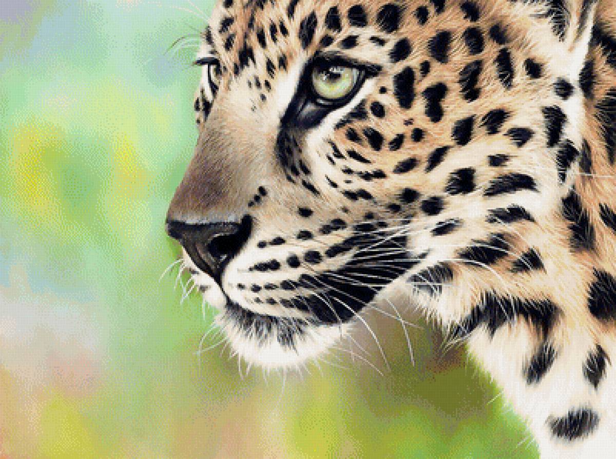 №1962463 - животные, хищники - предпросмотр