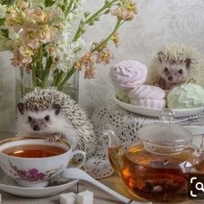 Схема вышивки «ежи»