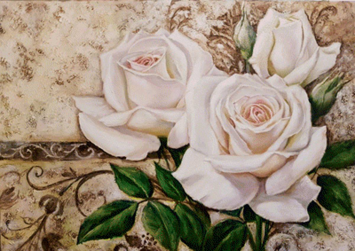 розы - предпросмотр