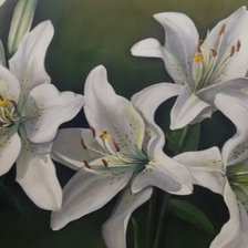 Схема вышивки «лилии»