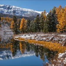 Схема вышивки «ПЕЙЗАЖ»