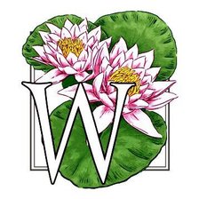 Схема вышивки «цветы»