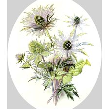 Схема вышивки «цветы»