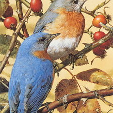 Птички на ветке