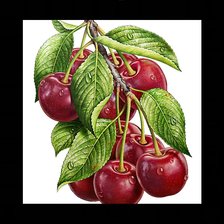 Схема вышивки «Вишенки»