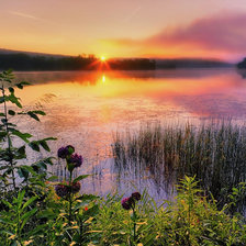 Схема вышивки «№1962902»