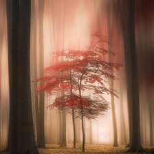 Схема вышивки «Туман»