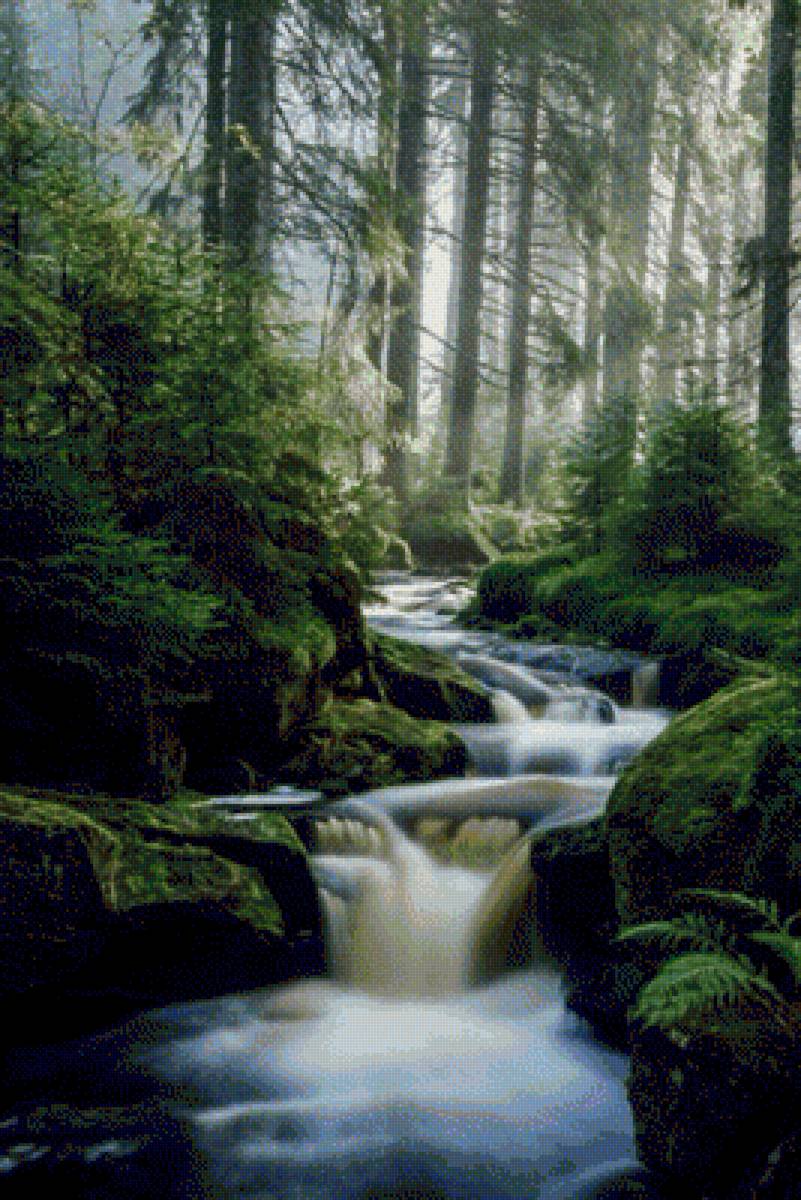 лесная речка - речка, пейзаж, леto - предпросмотр