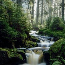 Схема вышивки «лесная речка»