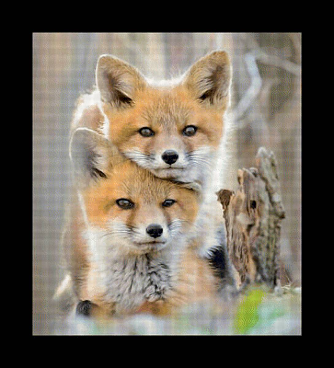 Лисички. - животные, хищники, лисы, дикие. - предпросмотр