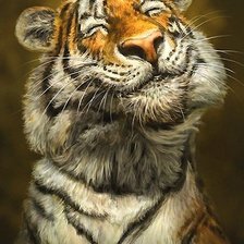 Схема вышивки «№1963199»