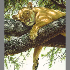 Схема вышивки «Серия "Хищники". Сиеста»