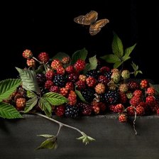 Схема вышивки «ЯГОДЫ»