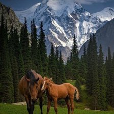 Схема вышивки «ПЕЙЗАЖ»