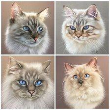 Схема вышивки «кошки»