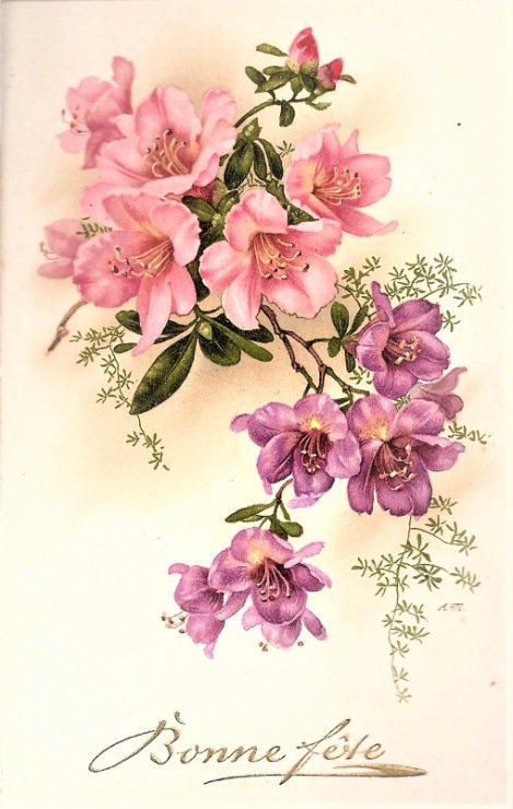 haluzka kvetov - оригинал