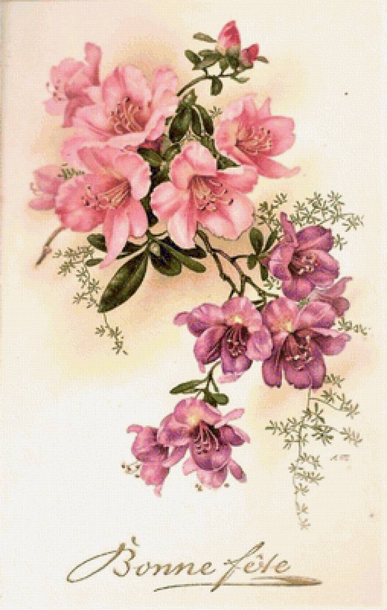 haluzka kvetov - предпросмотр