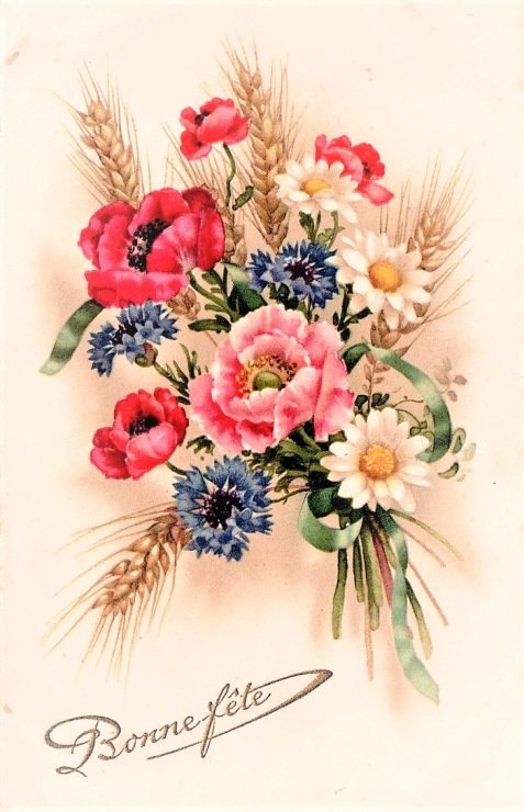 polné kvety - оригинал