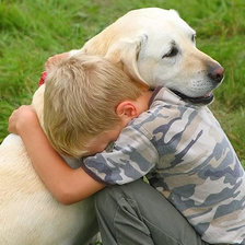 Схема вышивки «Друг»