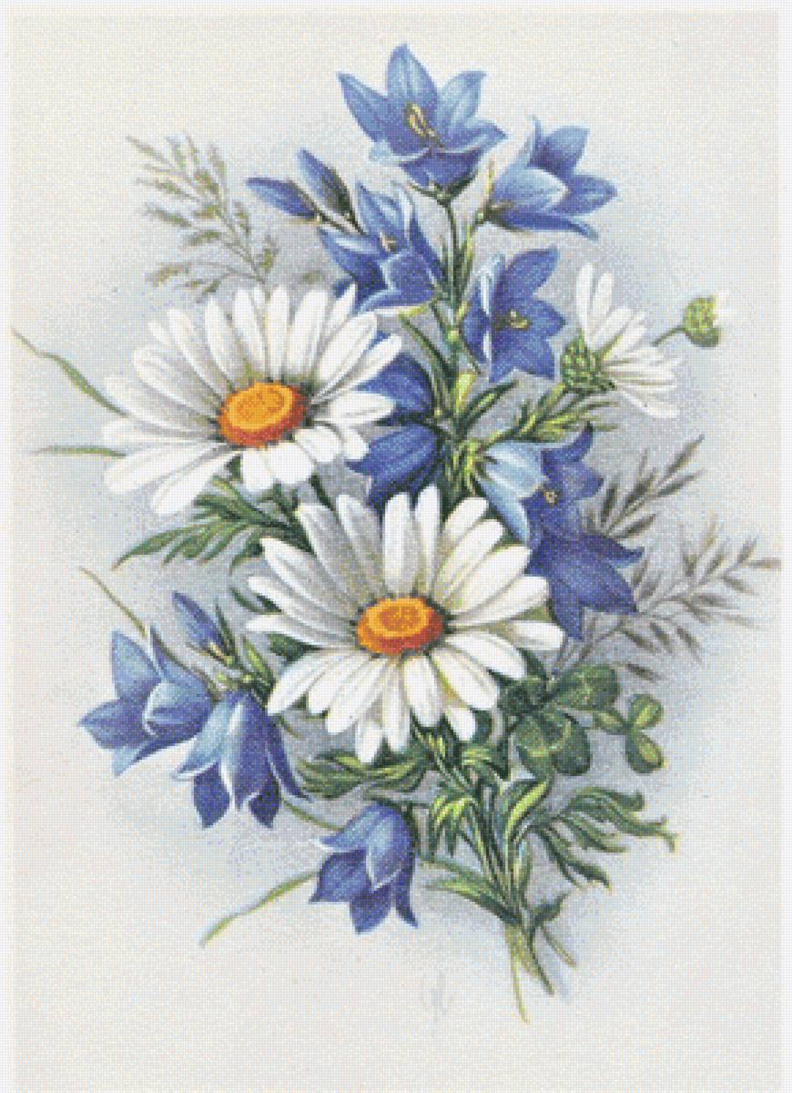 margaréty,zvončeky - предпросмотр