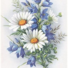 margaréty,zvončeky