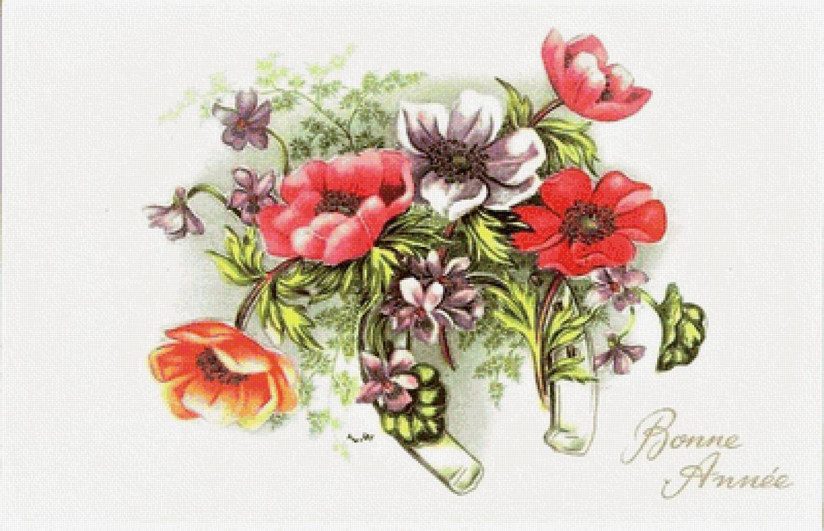 kvety - предпросмотр