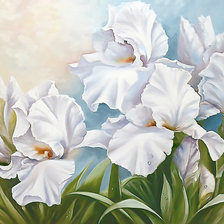 Схема вышивки «Серия "Ирисы"»
