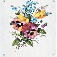 Схема вышивки «sirôtky»