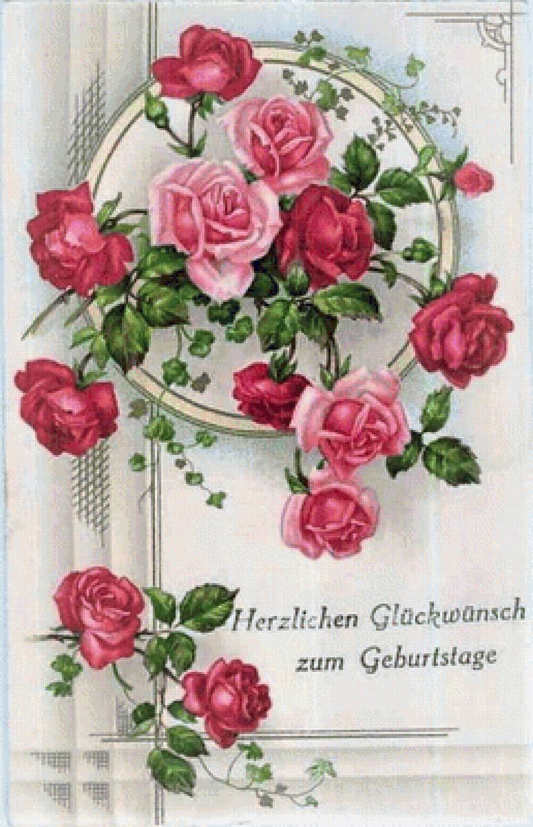 ruže - предпросмотр