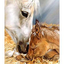 Схема вышивки «Серия "Кони". Ласка»