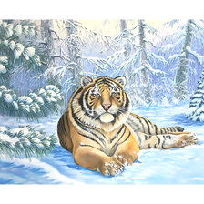 Схема вышивки «Амурский тигр.»