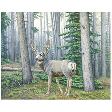 Схема вышивки «Олень в лесу.»
