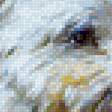 Предпросмотр схемы вышивки «Maltese.» (№1964670)