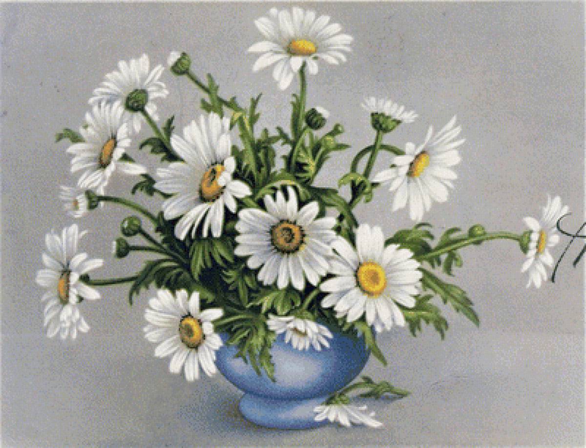 margaréty - предпросмотр