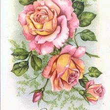 Схема вышивки «ruže»