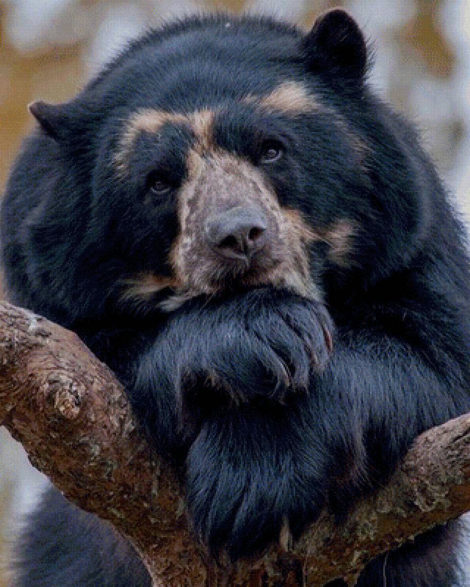 546 - предпросмотр