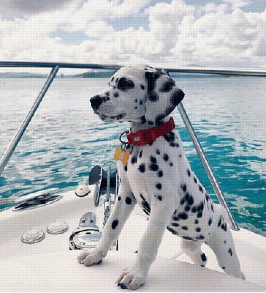 549 - предпросмотр